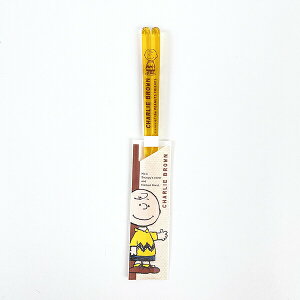 Xk[s[ `[[EuE NA (23cm) CG[ H { SNOOPY