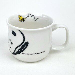 Xk[s[ JOY Series }O Rbv LbY {