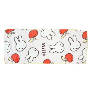 ~btB[ miffy MKV[Y NCbNhC tFCX^I