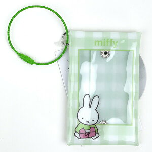 ~btB[ `FLz_[ O[ miffy  ʐ^ tHgt[