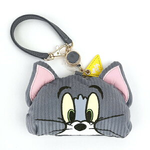 gƃWF[ tFCXAbvR[fCpXP[X(g) 