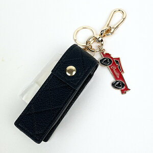 fBYj[ BY NG ^`[bvP[X (ubN) ACCOMMODE ARf