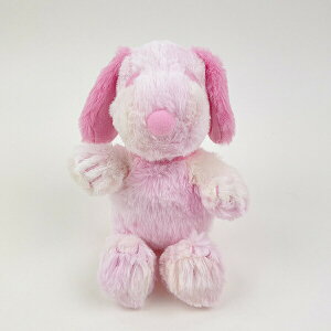 Xk[s[ }[uJ[ ʂ STCY CeA sN SNOOPY