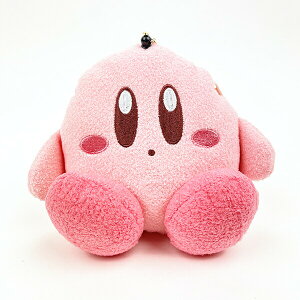 ̃J[rB v[s[pXP[Xt|[` (sN)