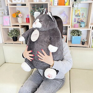 ˂m芴 ˂̂܂ BIGʂ Ԃ͂