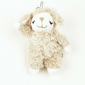 Ђ̃Cv bv }XRbg ʂ