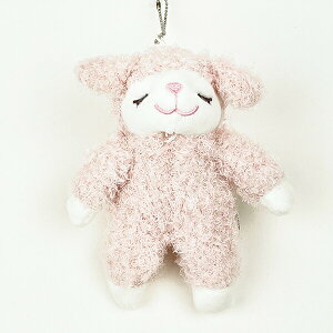 Ђ̃Cv TN }XRbg ʂ