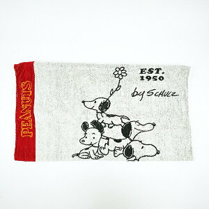 Xk[s[ ̂т̂уs[P[X 75thc[ bh Jo[ Q pCn 75th SNOOPY