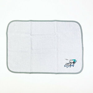 Xk[s[ TEi}bg ^I SNOOPY O[ 