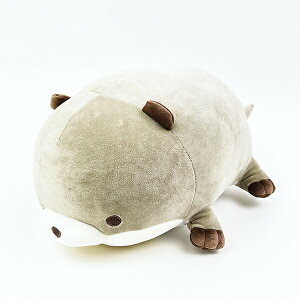 }V}ANA~G JE\ N[{X^[(L) ʂ Ԃ͂