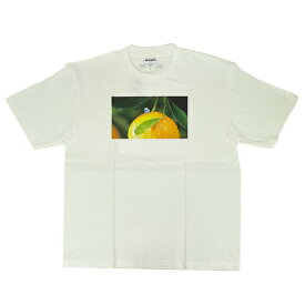 パペットスンスン ユズ BIGTシャツ(L) アパレル キャラクターグッズ