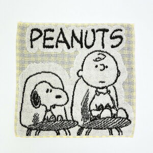 Xk[s[  ~j^I `FA  { SNOOPY