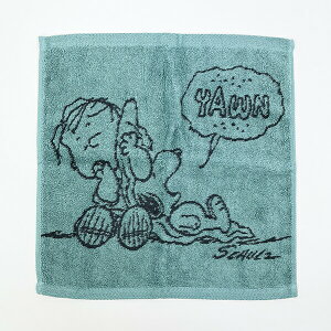 Xk[s[ EHbV^I O[ CiẌSѕz ^I  { SNOOPY