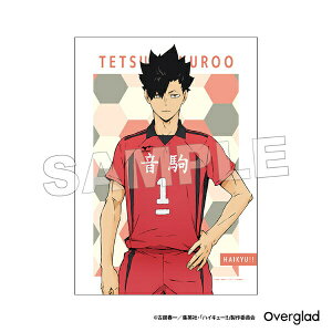 nCL[II SN z|X^[p^[A[g