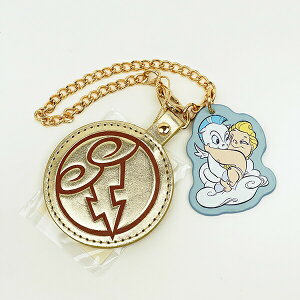 fBYj[ wNX yKTXwNX ~[`[ ACCOMMODE ARf Disney