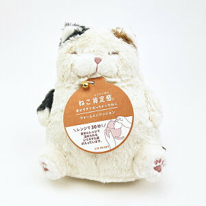 ˂m芴 ݂˂̂ EH[~jNbV ʂ