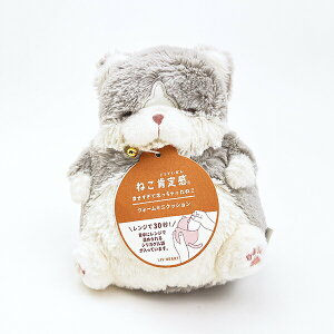 ˂m芴 ͂̂ EH[~jNbV ʂ