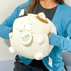 ˂m芴 ݂˂̂ RRnh}t ʂ