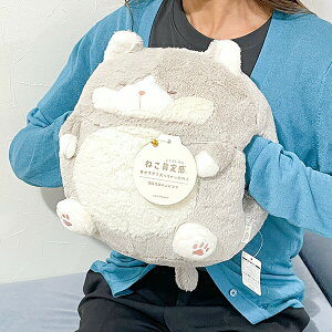 ˂m芴 ͂̂ RRnh}t ʂ