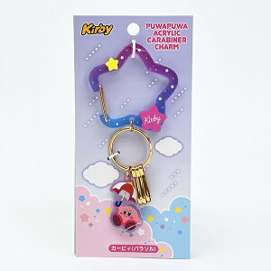 ���̃J�[�r�B �p���\�� �A�N�����J���r�i�`���[�� �L�[�z���_�[