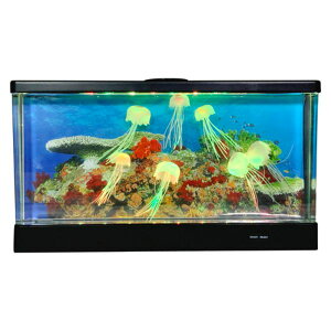 y\iz ANAE NQ Ch Ɩ CeA  炰 C (i׎攭) 