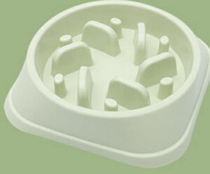 y11/1 Si|Cg5{IzHh~ t[h{E L  t[h{[ ybg {[ ybgpi ybg{E X[t[h M ۈݖh~ H ې􂢉\ a