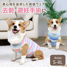 【7/19-7/25 全品ポイント5倍！】【2枚で1920円！】犬 術後服 犬用 手術着 エリザベス 猫 ウェア 犬用 メス オス 手術後 服 ボーダー 小型犬 中型犬用 ペット服 エリザベスカラー