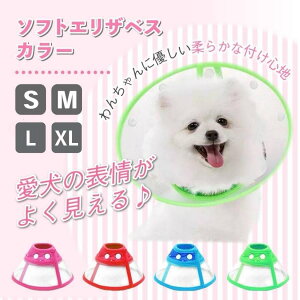 y9/19-24 }\ԑSi|Cg3{IzGUxXJ[ \tg  L z ^ S M y XgX _炩 ^  p R L