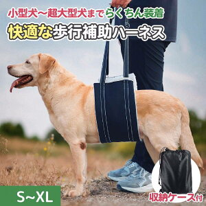 y9/4-11 SSԑSi|Cg5{Iz  n[lX p 둫 s⏕ V pi xg T|[g ^ ^ ^ ybg EȂ