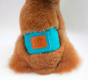 yLOܕiz y21000~Iz}i[xg  Ȃ }i[pc ނJo[ }i[oh ނ p hbOEFA  }i[p hbO hbOJtF }i[p IX 