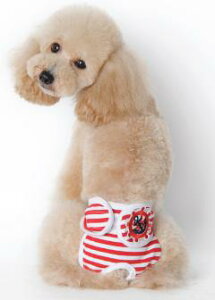 y11/1 Si|Cg5{IzyLOܕiz y21000~Iz}i[xg  Ȃ }i[pc ނJo[ }i[oh ނ p hbOEFA  }i[p hbO h