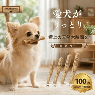 【7/4~11 マラソン期間全品ポイント5倍!】【2本目半額！】コーヒーウッド 犬 噛むおもちゃ コーヒーの木 …