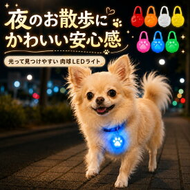 【2個目半額3個目99%オフ】犬 散歩 ライト 首輪 LED 散歩用ライト 光る首輪 犬用 シリコン 防水 安全 ハーネス リード 装着 7色 猫 肉球 モード切替 ペット チャーム シリコン