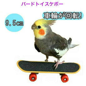 【ランキング入賞品】 バードトイ インコ おもちゃ スケボー ミニスケボー 小鳥 小型 インコ バードトイ おもちゃ ペット スケボー スケートボード