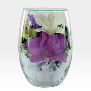  hCt[ {gt[ OXt[ dp y vG[SB z OX No.7974