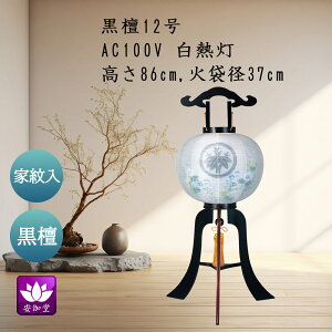 ~ ~傤 ~  V~ ~p s Ɩ h 12 Od ˔t GK-586