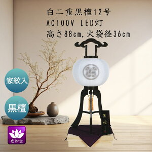 ~ ~傤 ~  V~ ~p s Ɩ h 12 Od OZ-43629D