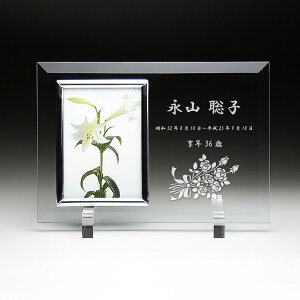 A tHgt[ FH-5 17cm 24.5cm