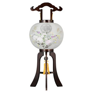 ~ ~傤 s ~ V~ ~ 䋟 Ɩ O d  uEF 11 YT-3781