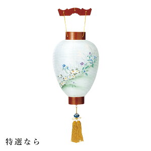 ~ ~傤 䏊 򕌒 ~ V~ ~ 䋟 Ȃ  t HI-257