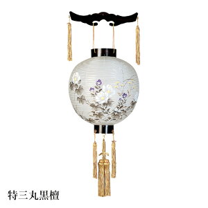 ~ ~傤 a ~ V~ ~ 䋟 Oۍh  HI-413y2710܂P5{Iz