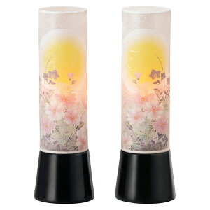 ~ ~傤 CeA _s ~ V~ ~ 䋟 aƓ ɐ̌ LED R[hX Ε GK-2956