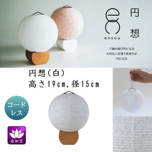 ~ ~傤 CeA _s ~ V~ ~ 䋟 ~z [^X zCg a LED R[hX OZ-21061