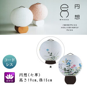 ~ ~傤 CeA _s ~ V~ ~ 䋟 ~z  a LED R[hX OZ-21073