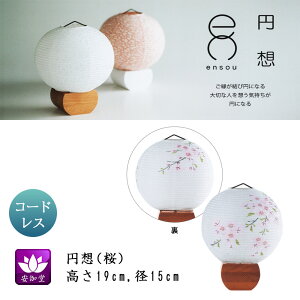 ~ ~傤 CeA _s ~ V~ ~ 䋟 ~z  a LED R[hX OZ-21075