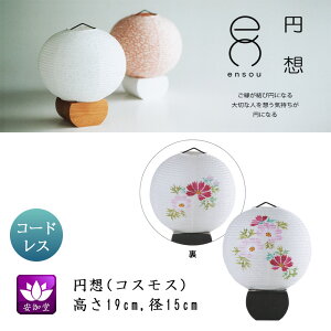 ~ ~傤 CeA _s ~ V~ ~ 䋟 ~z RXX a LED R[hX OZ-21076