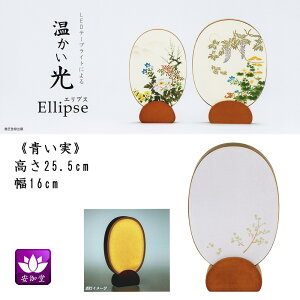 ~ ~傤 CeA _s ~ V~ ~ 䋟 Ellipse GvX  LED e[vCg OZ-22690