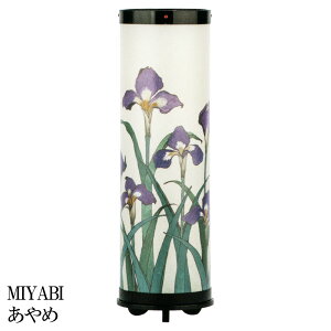 ~ ~傤 ~ V~ ~ 䋟 CeA ]s u MIYABI  v OZ-23380