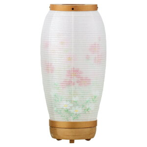 ~ ~傤 CeA _s ~ V~ ~ 䋟 O d LEDd y d V KOSUMOSU RXX z No.23122