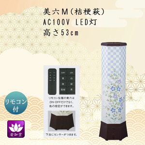 ~ ~傤 CeA _s ~ V~ ~ 䋟 ZM j[ atB 5F LED Rt YT-482